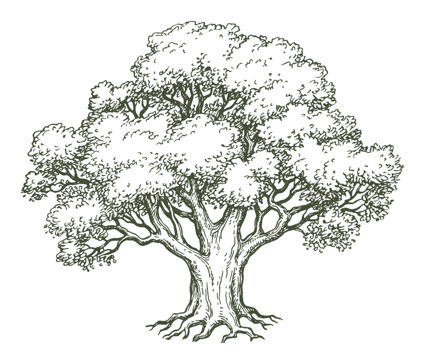 tree from logo